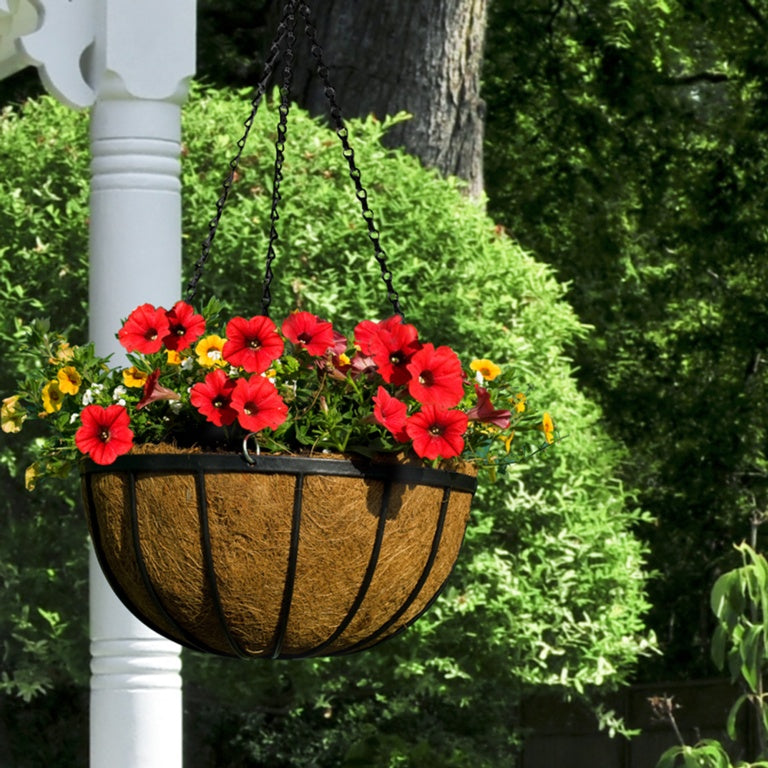 Ambassador Flat Bar Hanging Basket 16"