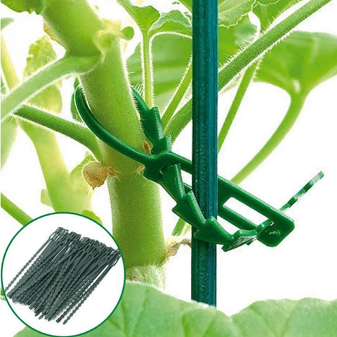 50pcs Plastic Plant Cable Ties Reusable Cable Ties for Garden