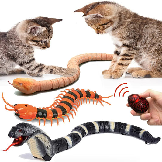 RC Remote Control Snake Toy For Cat