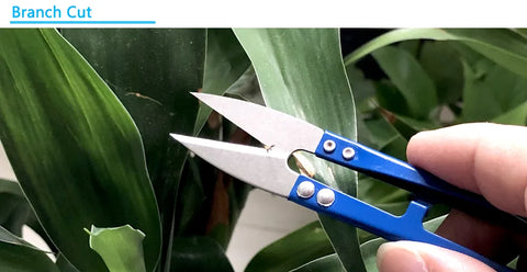 3Pcs Pruning Shears Mini Sharp Scissors Gardening Plant