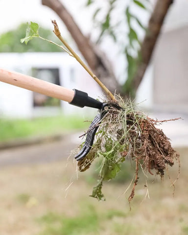 Allsome Claw Weeder the Stand Up Weed Puller