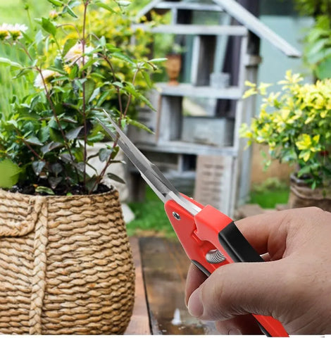 Stainless Steel Branch Pruning Fruit Gardening