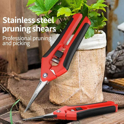 Stainless Steel Branch Pruning Fruit Gardening